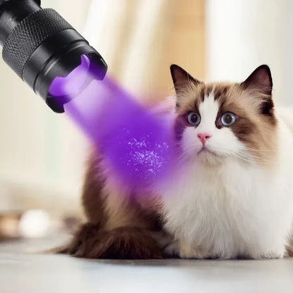 UV Pocket Flashlight